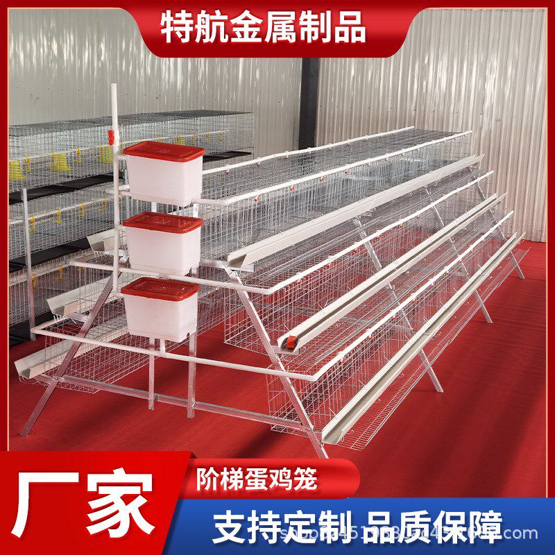 阶梯蛋鸡笼多层阶梯全自动清粪捡蛋喂料简单加背负式喂.料机捡蛋