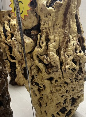 枣木纯实木根雕花架龙纹天然大尺寸艺术造型花架R木墩底座原木摆