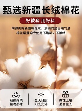 被套单件150x200x230被罩y全棉100单人宿舍1.5m被单床上四件套