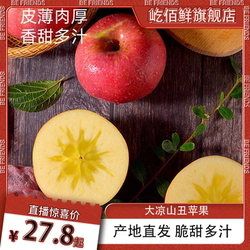 2025四川大凉山丑苹果盐源苹果新鲜脆甜冰糖心水果