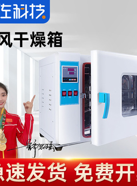 电热恒温鼓风干燥箱实验室小型高温烘箱工业用真空老化烘干机烤箱