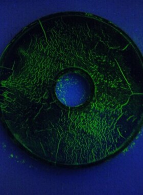 MT-I磁粉试块 磁粉参考试块 荧光磁粉试块 磁粉探伤试块