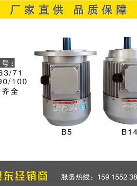 肇能牌铝壳电机国际YS6324足功率180W立式法兰现货