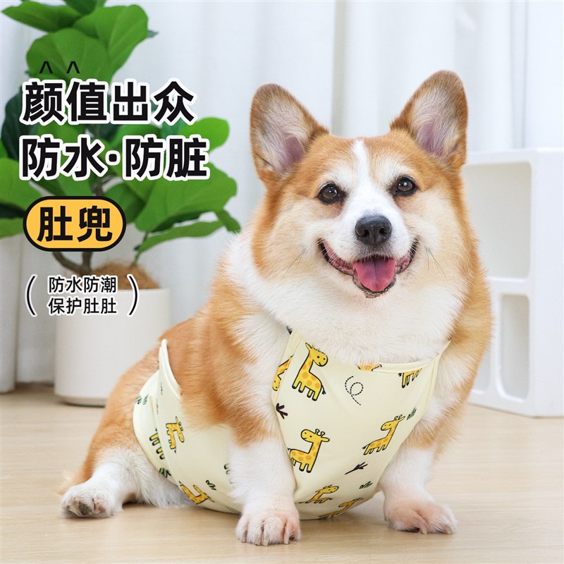 宠物狗狗防水肚兜防脏服防着凉下雨天四季通用柯基专用护肚衣透气