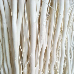 天然龙柳干枝曲柳树枝龙桑玄关隔断橱窗落地O装饰白色干花婚庆拱