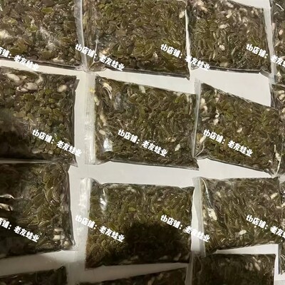【分装款】-78干 p干冰发货电龙冷冻稻田蛙高蛋白长帆神器新鲜2