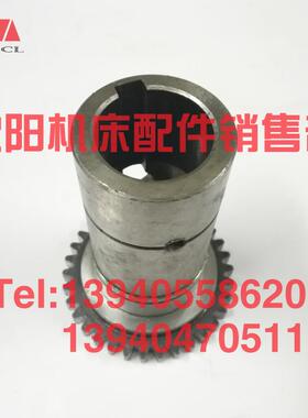 沈阳中捷摇臂钻床Z3080X25 Z3063主轴箱齿轮81312C Z34主电机齿轮