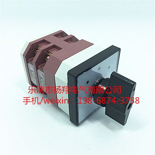万能转换开关 LW38A-164D0416/2