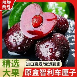 【净重2斤】空运智力车厘子礼盒装