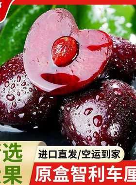 现货智利车厘子新鲜水果包邮进口樱桃原整箱顺丰桑提娜空运