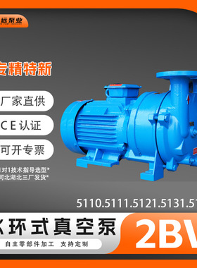 博远定制2BV5110/11/21/31/61水环真空泵304耐腐工业抽真空负压泵