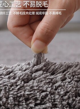 白色奶油风2024新款地垫客厅室内加F厚毛绒房间地毯卧室床边毯隔