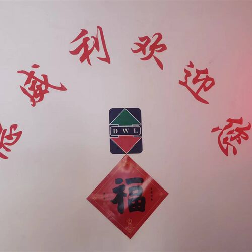电梯限速器底坑下轮 涨紧轮 限速器涨绳轮I200/240工程钢丝绳