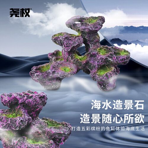 尧权海水缸客厅小型迷你桌面缸家用水族箱背滤小鱼T缸超白缸生态