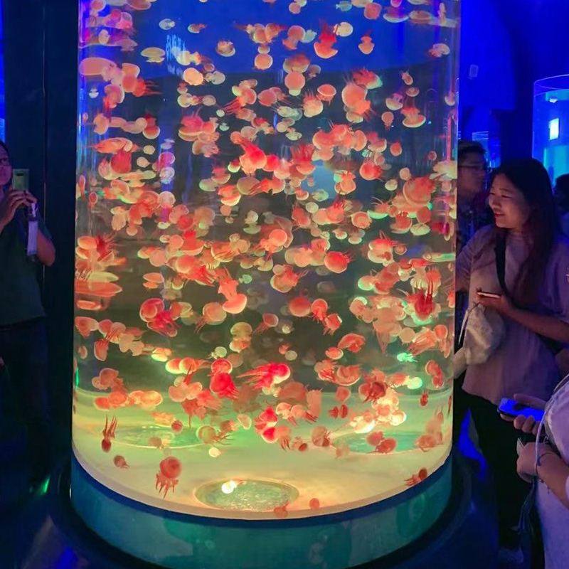 弧形圆柱鱼缸水族工程别墅海水缸客厅落地生态鱼W缸大型海洋缸