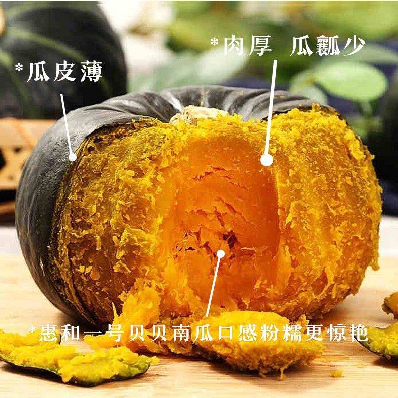 贝贝南瓜蔬菜甜糯板栗味老瓜粉面粉糯宝宝蒸蛋辅食3斤5斤装粗粮