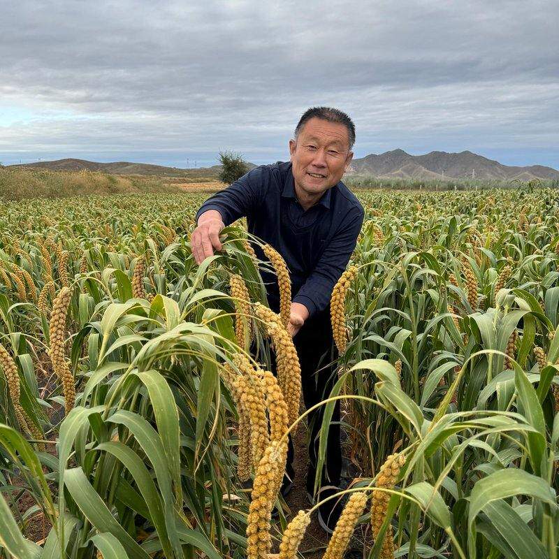 【三姐专属】2026新小米天山小米 山地小粒米5斤装