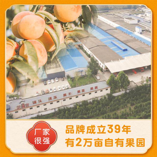 芝麻官 | 水果罐头礼盒经典糖水黄桃罐头送礼礼盒258/560