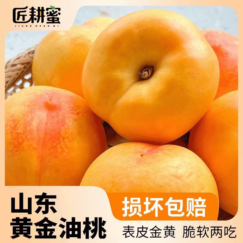 【匠耕蜜】山东蒙阴黄金油桃3/4.5斤装 新鲜黄桃 软硬两吃
