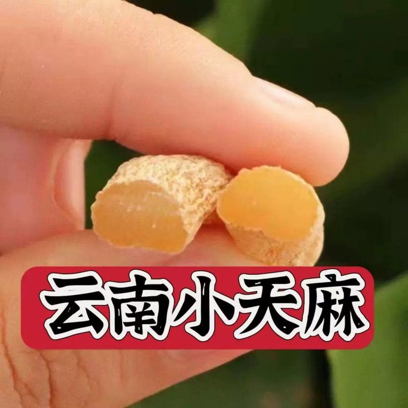 【宠粉】云南昭通小天麻干货煲汤煮水佳品 脱水蔬菜