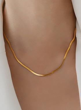 小众高级感窄版扁蛇骨项链女锁骨链不掉色轻奢设计新款气质夏颈链