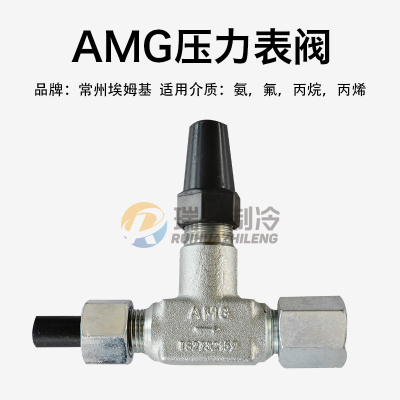 AMG埃姆基RVY6-10直通直角压力表阀门氟丙烷氨用制冷表阀RVT6-10