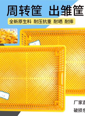 育雏筐出雏筐雏鸡周转筐孵化机配件用蛋盘雏框鸡苗筐鸭鹅鸽子苗框