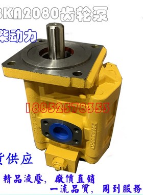 潍柴动力(青州)传控技术有限公司齿轮泵CBKA2080额定压力20MPA