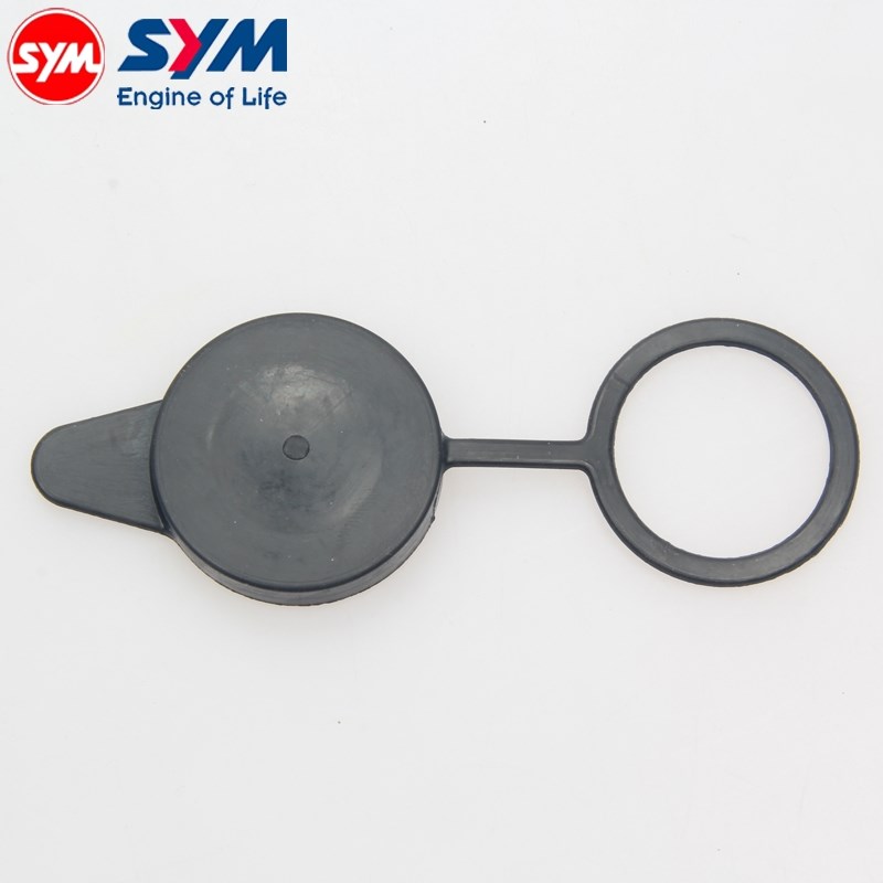 适用于 三阳 飞度4 巡弋300/150 TL500 九妹 凤凰 副水箱盖 原装