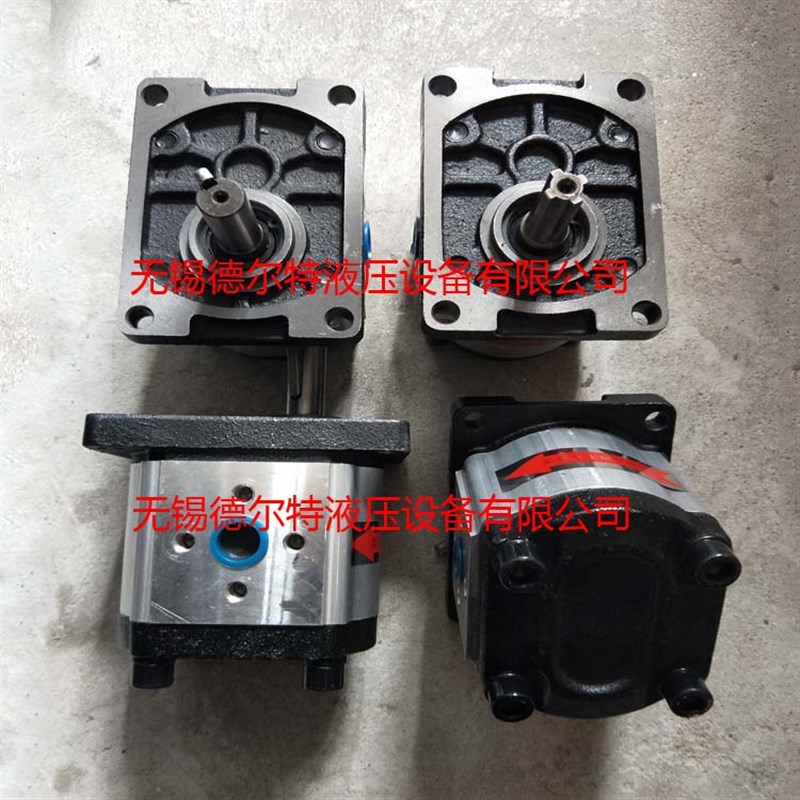 齿轮泵CBTt-F306 CBTt-F310 CBTt-F312 CBTt-F316 CBTt-F320 F313