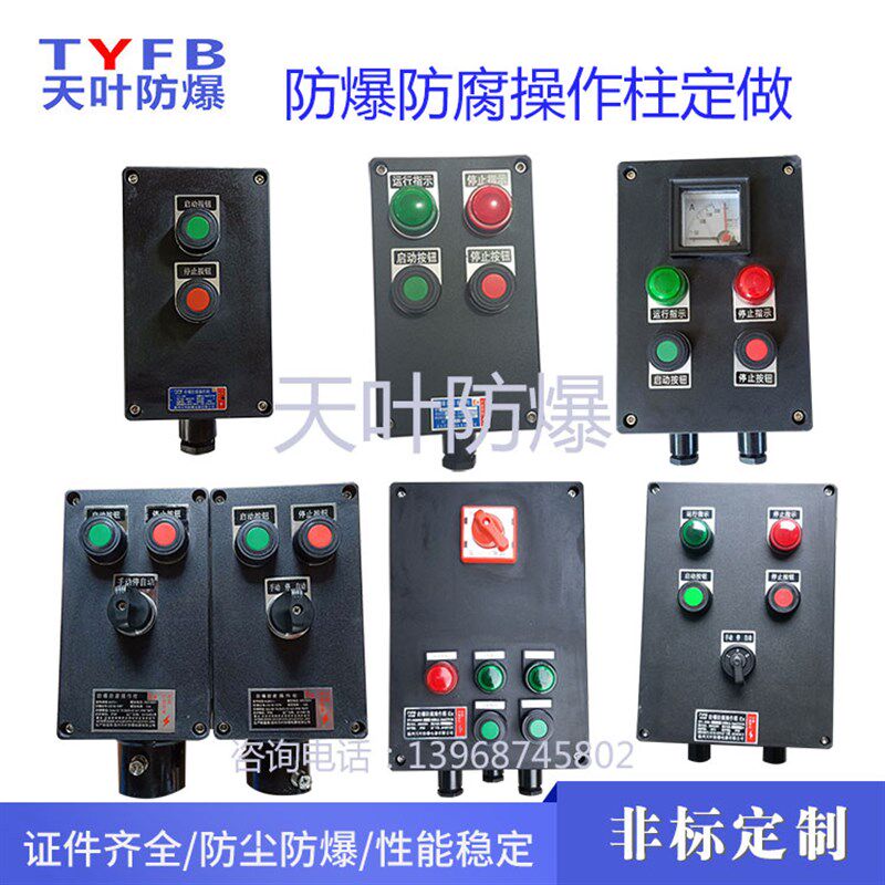BZC8050防爆防腐操作柱 两灯两钮一表操作箱 就地机旁按钮启动箱