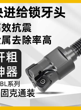 快进给锁牙头TEBL特固克BLMP06双面铣刀片开粗可换式螺纹铣刀头