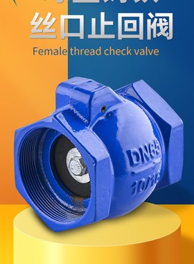 丝口止回阀DN32内螺纹R丝扣阀门H14单向阀50自来水管道逆止阀空调