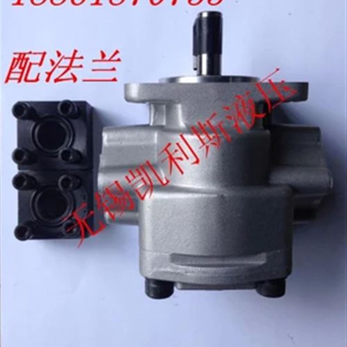 液压高压齿轮泵GPY-F3R 4R 5.8R 6R 8R F11.5R F12R 9R 10R 7R-L