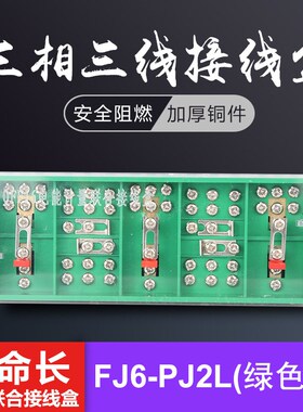 纯铜QFJ6/PJ2L三相三线电能计量箱联合接线盒 阻燃 绿色型 分线盒