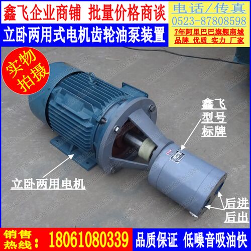 LWBZ-CB-B400 DCB-B500JZ立卧式齿轮油泵电机组 液压油泵WY-RB400