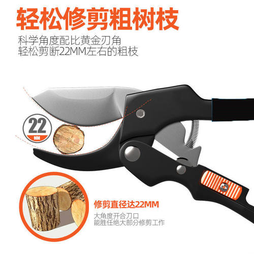 德国进口钢粗枝剪刀滑轮省力修枝剪园艺修花木果树嫁接园林剪工具