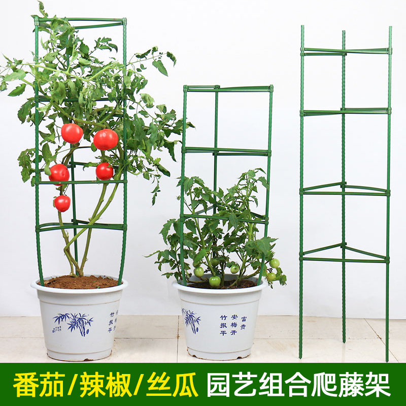 西红柿番茄爬藤架花盆支架庭院植物包塑钢管花架葡萄黄瓜爬藤架子