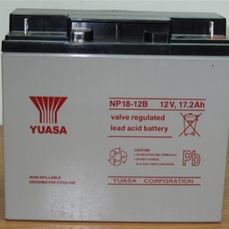 YUASA汤浅蓄电池 NP18-12B 12V17.2AH电梯应急  船舶设备用电瓶