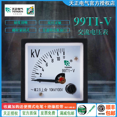 TENGEN天正电气 99T1-V电压表指针式交流电压表450V 12KV 48*48mm