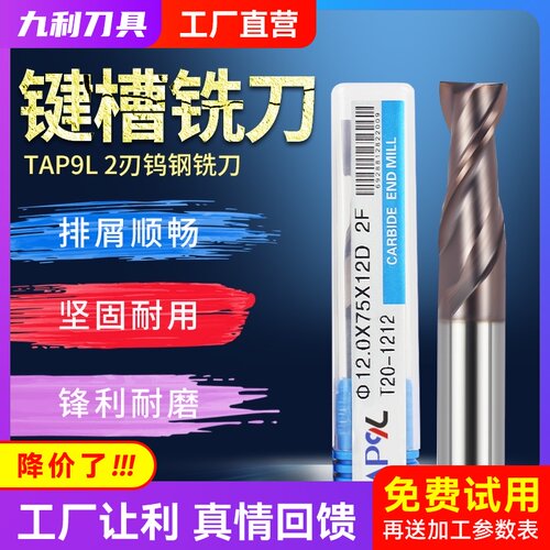九利刀具2刃键槽铣刀TAP9L铣刀钨钢合金平底1MM至12MM钨钢刀合金