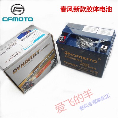 春风电池狒狒150/250NKSR/450SR400/650NK/GT/MT国宾700X/800电瓶