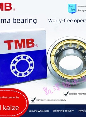 天马圆柱滚子轴承Nu Nj2313 2314 2315 2316 2318 2320Emc3/C4