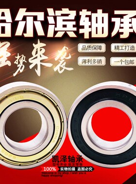 哈尔滨NBH轴承6214 6215 6216 6217 6218 6219 6220 RZ  ZZ