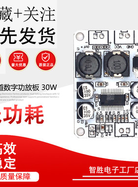 TPA3110 PBTL单声道数字功放板 30W 功放模块 TPA3110D2芯片模块