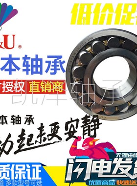 人本调心滚子轴承22308 22309 22310 22311 22312 22313CA/W33