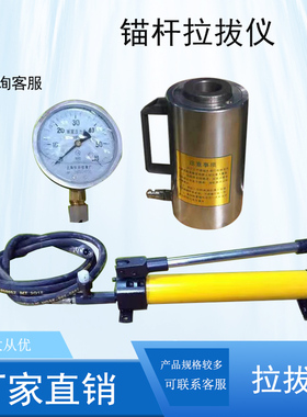 钢筋锚杆拉力计 圆钢螺铨拉拔仪(5T10吨20T30T50T60T100t)KN