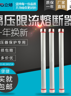 立熔RW11-100A/200A户外高压跌落式熔断器10KV12KV令克开关保险丝