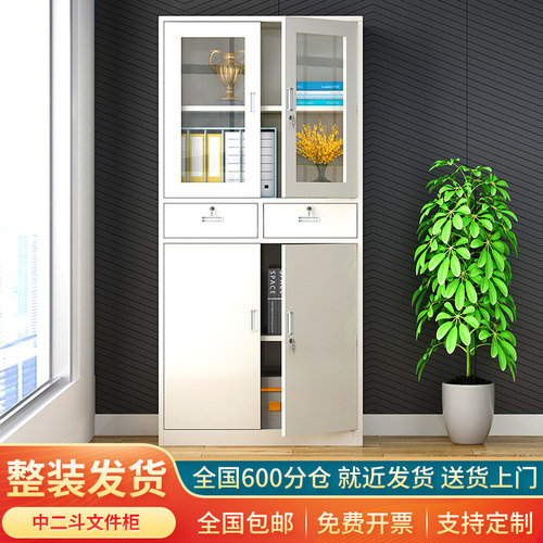 中二斗文件柜铁皮资料柜财务凭证档案柜办公室书柜带锁抽屉储物柜