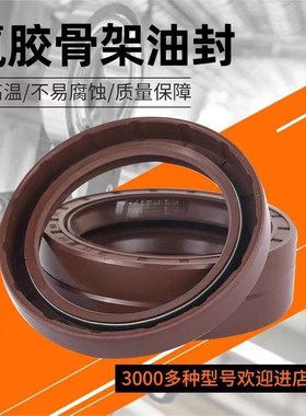 氟胶TC骨架油封110x112x115x118x130x135x140x150x10x12x13x14x15